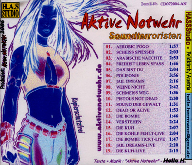 AKTIVE NOTWEHR, CD  SOUNDTERRORISTEN